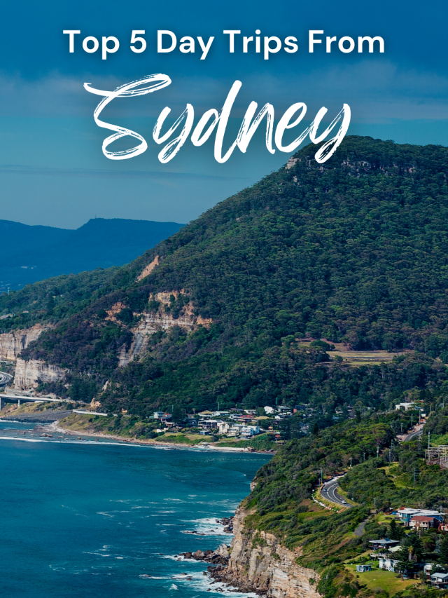 Top 5 day trips from sydney headout blog