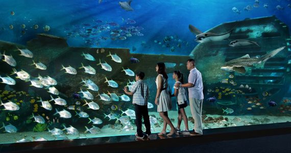 SEA Aquarium Singapore tickets
