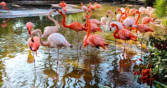 Barcelona Zoo