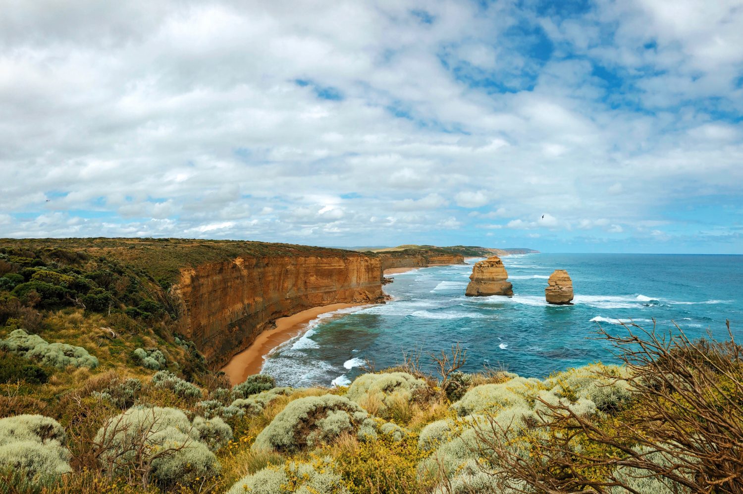 day tour to great ocean road