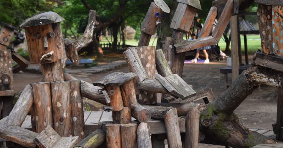Seoul To Nami Island Tours