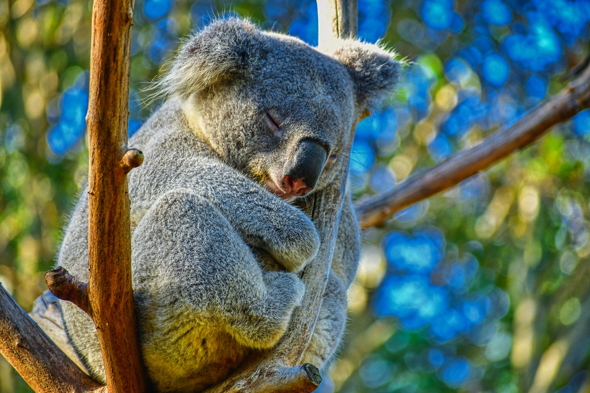 melbourne zoo visit