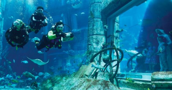 Dubai Lost Chambers Aquarium