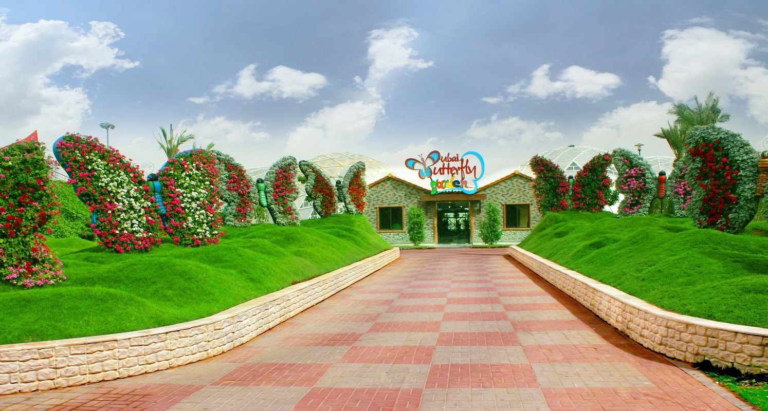 Everything you need to know about Dubai Butterfly Garden