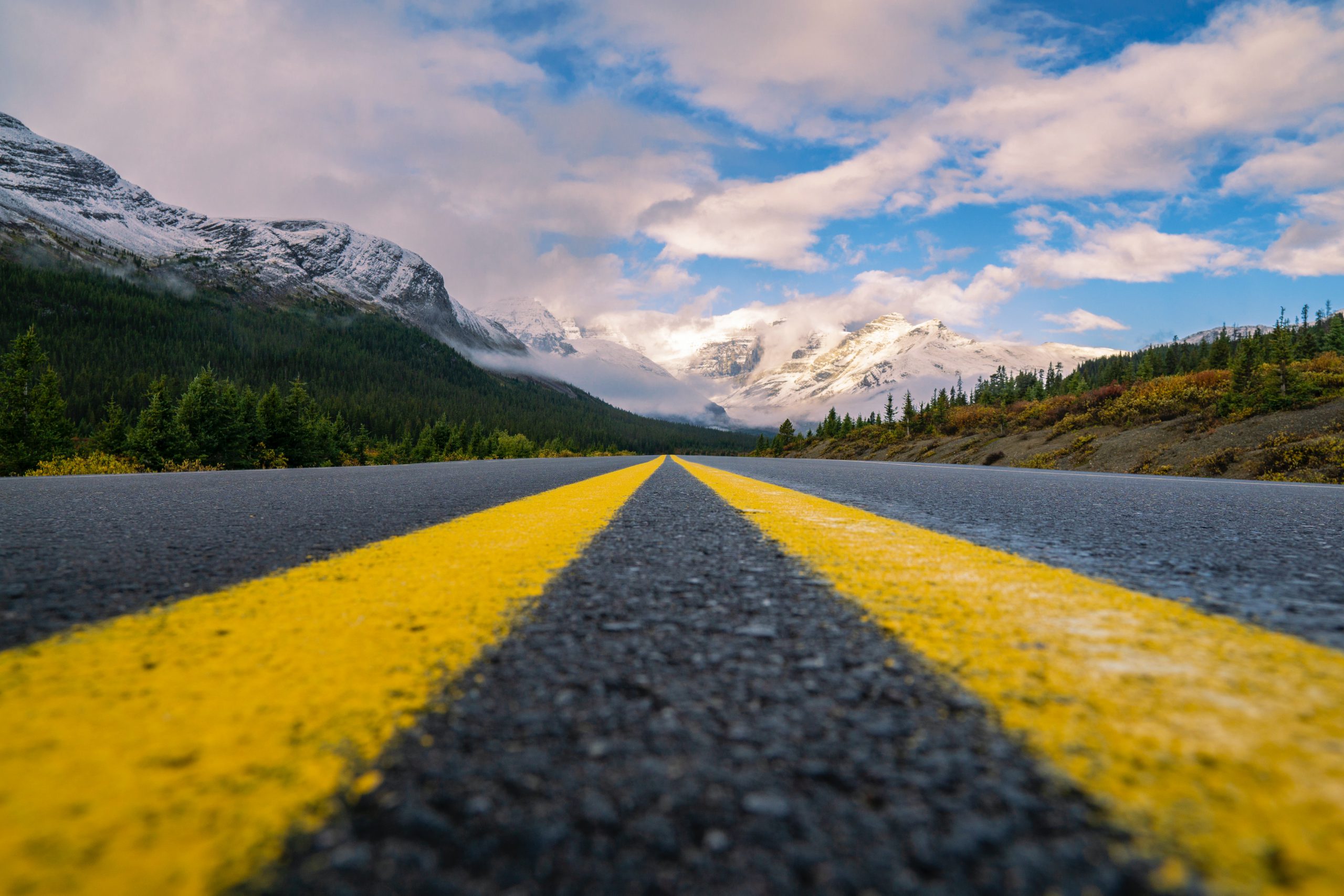 Roads: An Epic Road Trip - 9fqmvm7